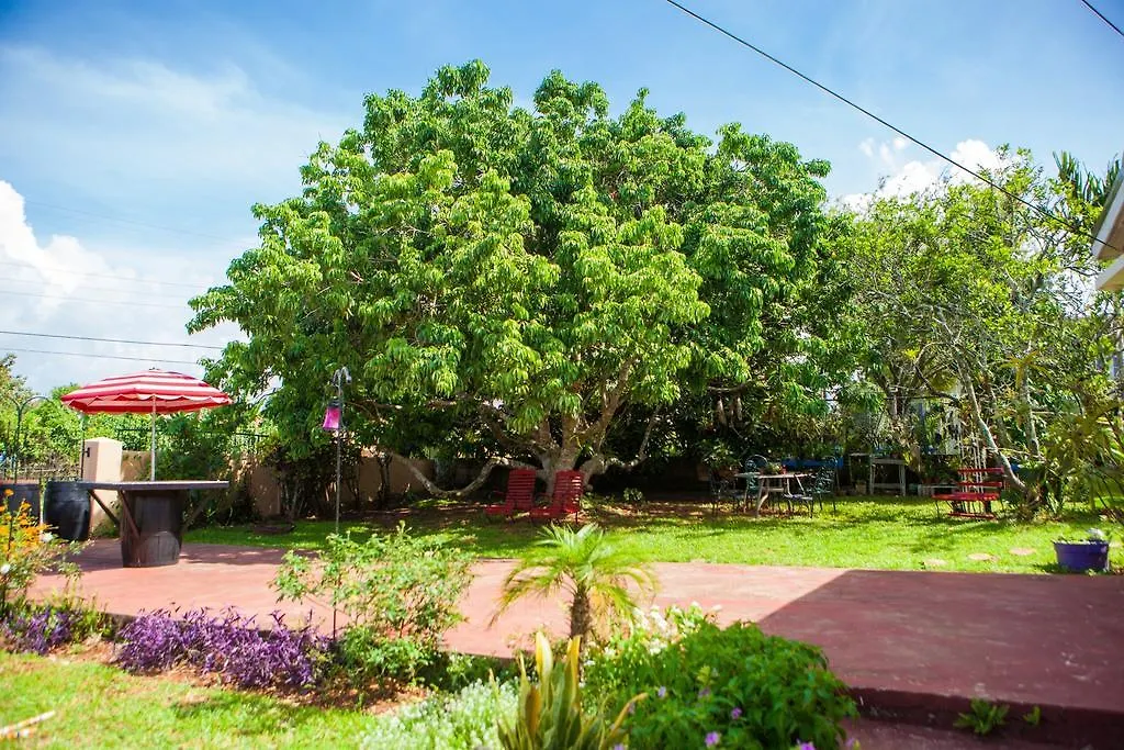 Casa Da Buena Vista Panzió Mandeville 3*,  Jamaica