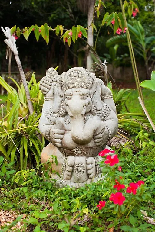 Casa Da Buena Vista Panzió Mandeville Jamaica