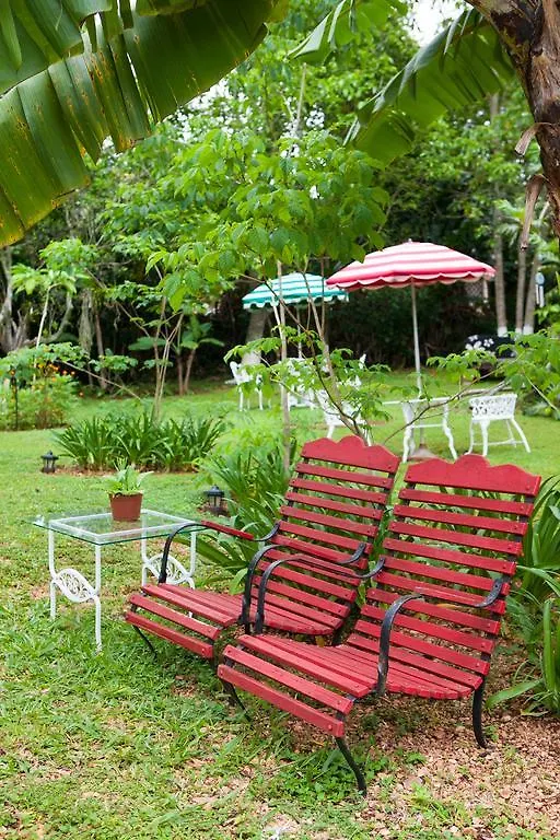Casa Da Buena Vista Panzió Mandeville