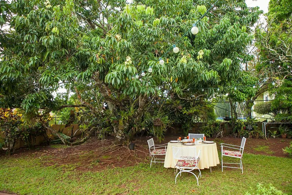 Casa Da Buena Vista Panzió Mandeville 3*,  Jamaica