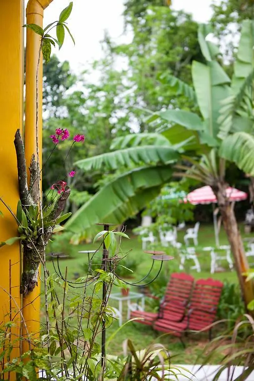 Casa Da Buena Vista Acomodação com café da manhã Mandeville Jamaica