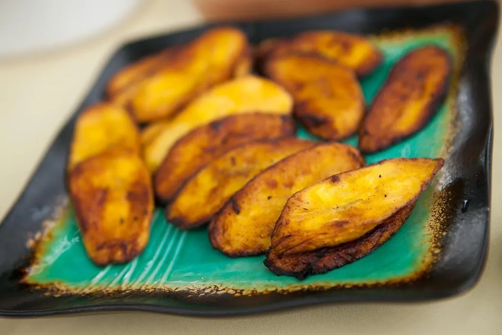 *** Alojamento de Acomodação e Pequeno-almoço Casa Da Buena Vista Acomodação com café da manhã Mandeville Jamaica