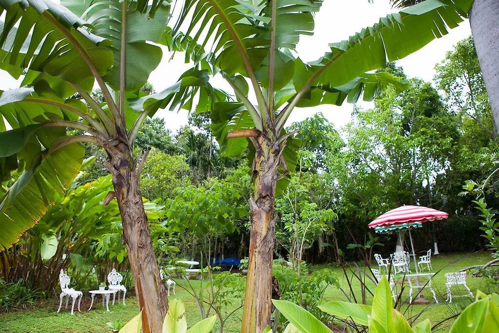 Casa Da Buena Vista Acomodação com café da manhã Mandeville Alojamento de Acomodação e Pequeno-almoço