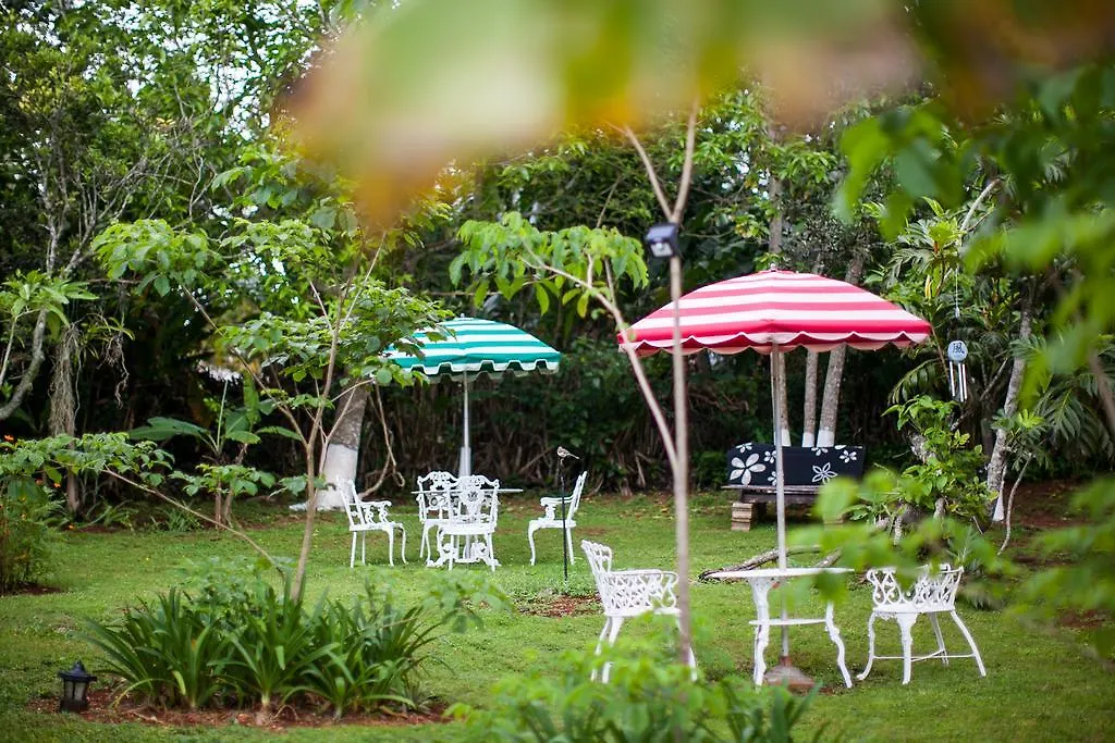 Alojamento de Acomodação e Pequeno-almoço Casa Da Buena Vista Acomodação com café da manhã Mandeville